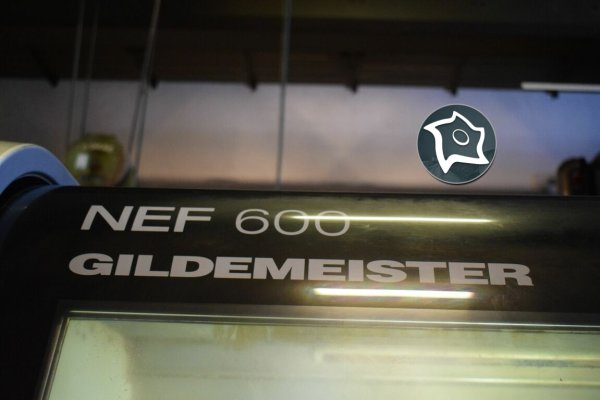 Токарно-фрезерный станок с ЧПУ DMG MORI NEF 600