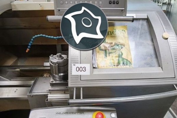 Токарний верстат з ЧПУ GILDEMEISTER NEF 520