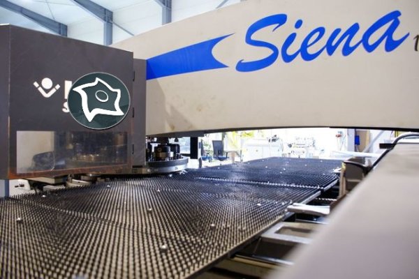 Універсальний пробивний прес з ЧПУ LVD SIENA 1225 TK