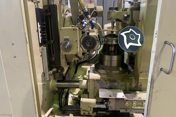 Зубофрезерний вертикальний верстат WMW MODUL ZFWZ 250-3