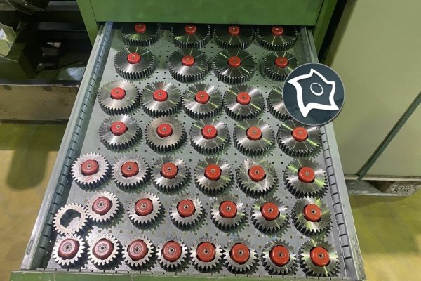 Зубофрезерний вертикальний верстат WMW MODUL ZFWZ 250-3